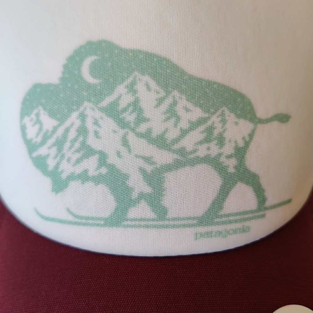 W's Patagonia Nordic Bison Interstate Hat NWT - Picture 3 of 9